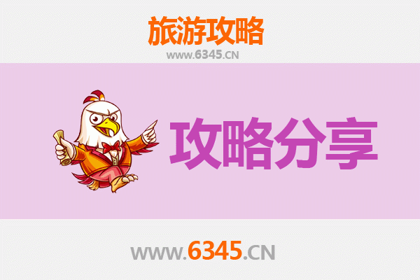 河源东源至湄洲岛旅游攻略：跟团还是自由行深度解析